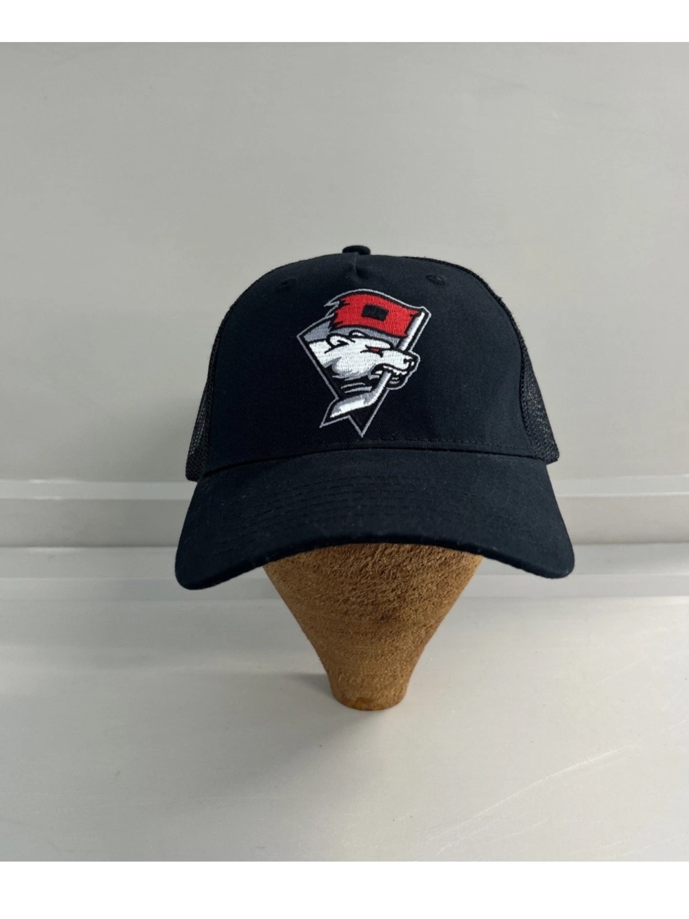 Charlotte Checkers Mesh SnapBack Black Truckers Hat AHL Hockey Minor League OSFM